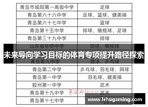 未来导向学习目标的体育专项提升路径探索